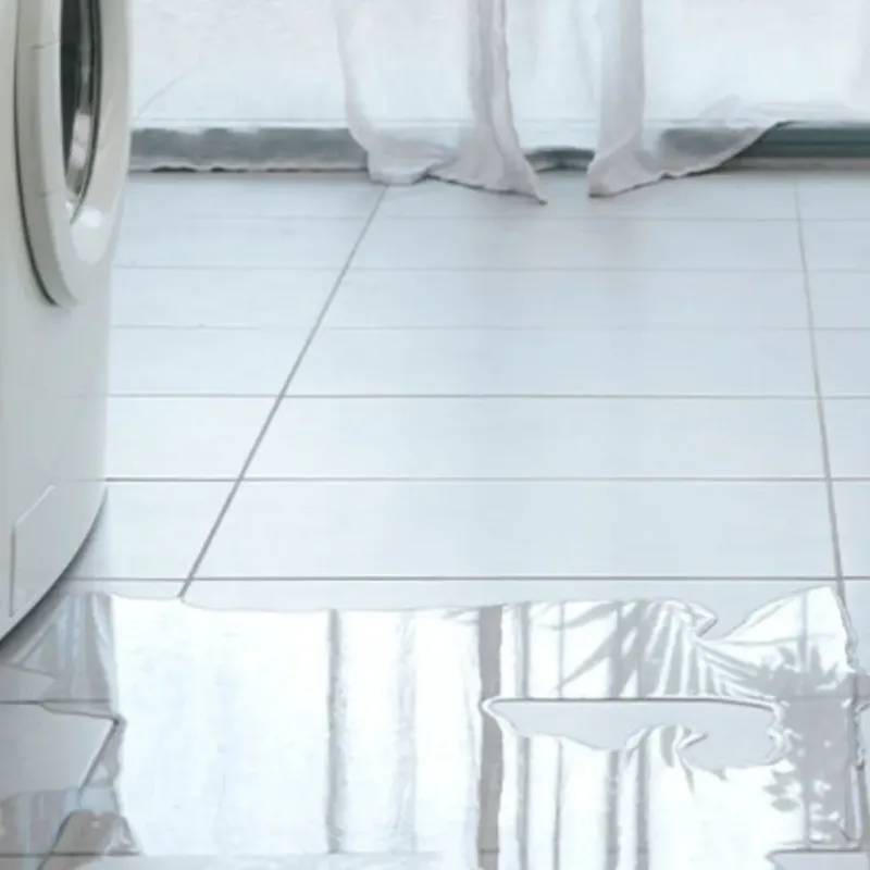 Appliance Leak Cleanup in Colorado City, AZ